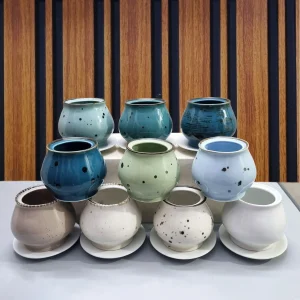 সিরামিক সাকুলেন্ট প্ল্যান্টার