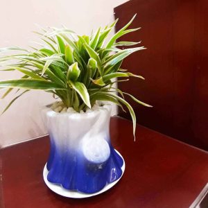 গাছের গুড়ি সিরামিক গাছের পাত্র